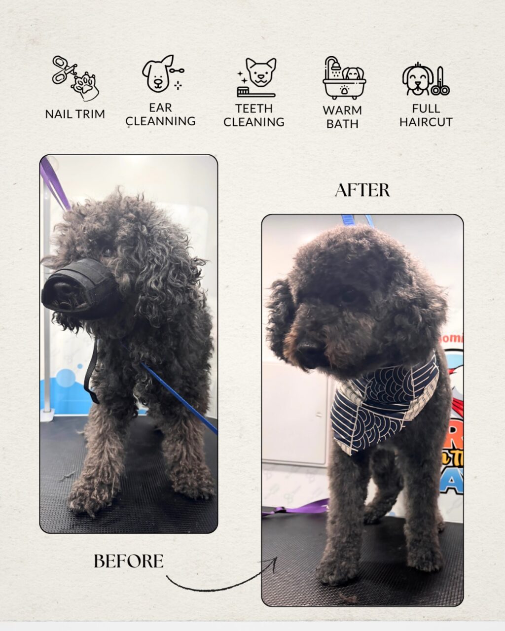 Instagram post from barksinthebaygrooming. This post is in position 9.