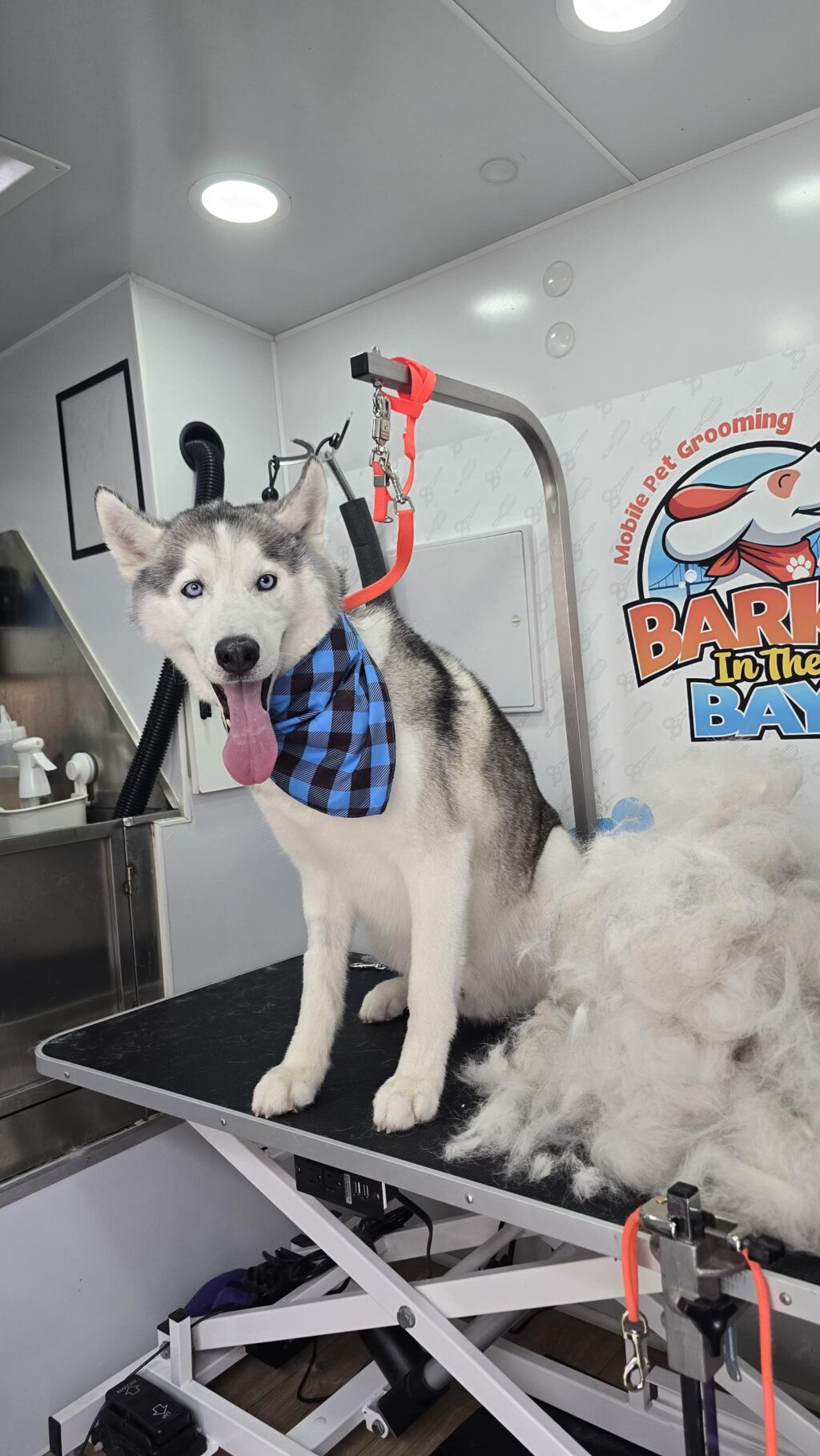 Instagram post from barksinthebaygrooming. This post is in position 4.