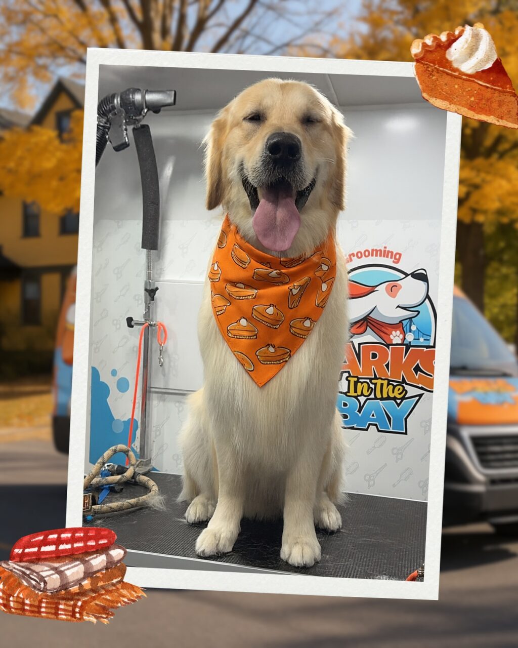 Instagram post from barksinthebaygrooming. This post is in position 2.