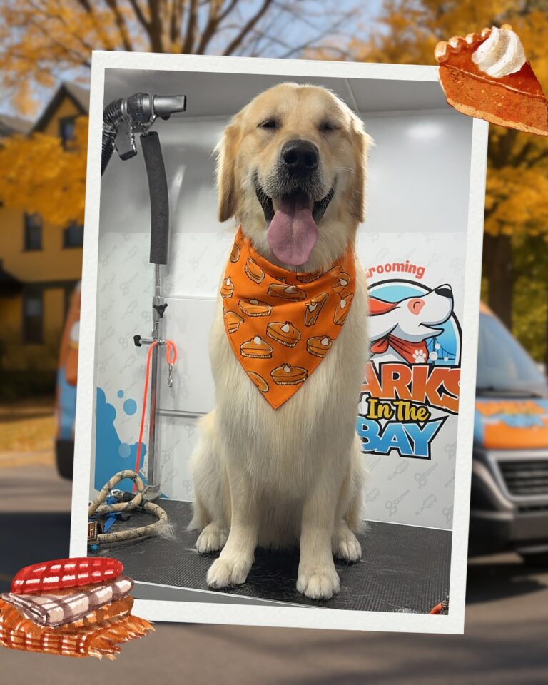 Instagram post from barksinthebaygrooming. This post is in position 3.