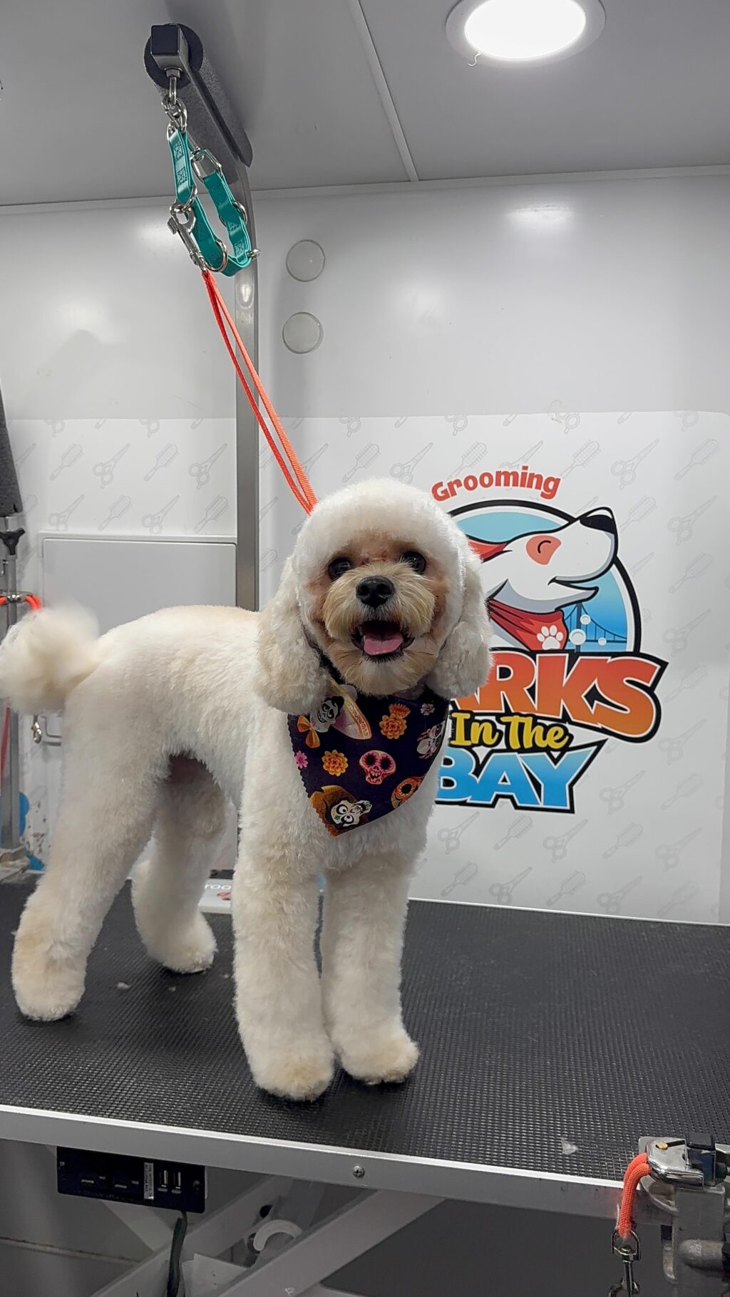 Instagram post from barksinthebaygrooming. This post is in position 10.