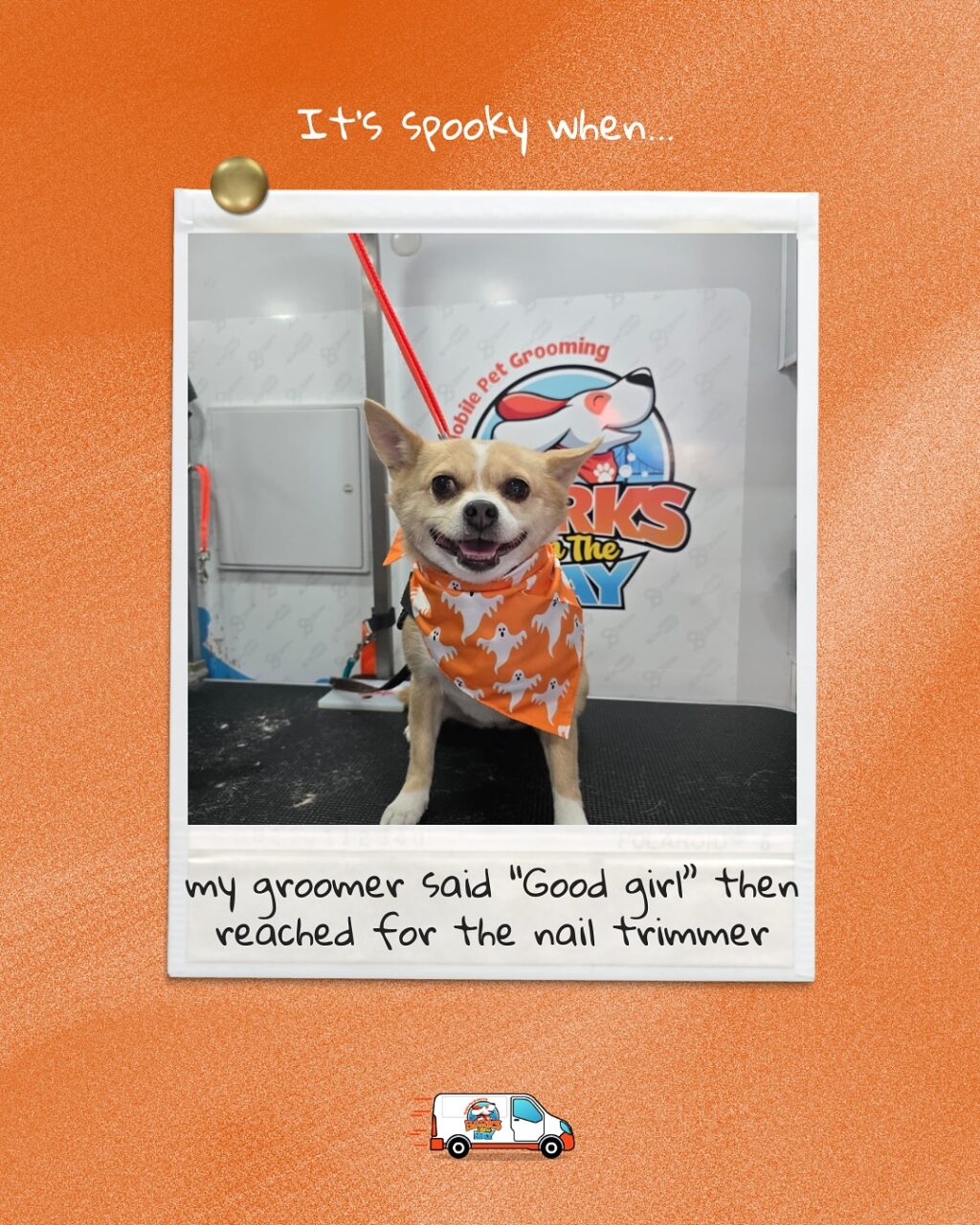 Instagram post from barksinthebaygrooming. This post is in position 4.