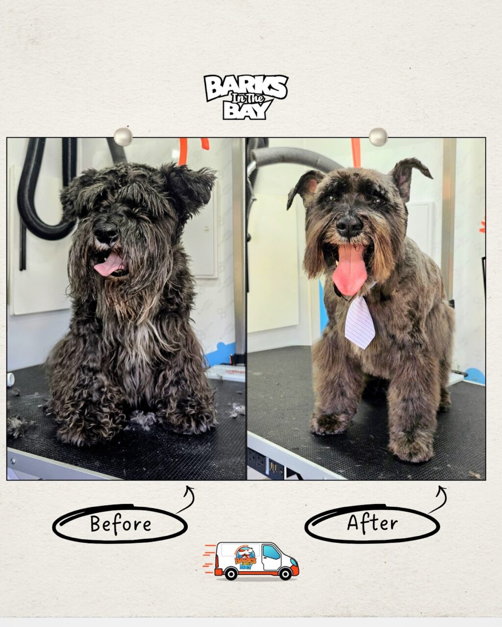 Instagram post from barksinthebaygrooming. This post is in position 2.